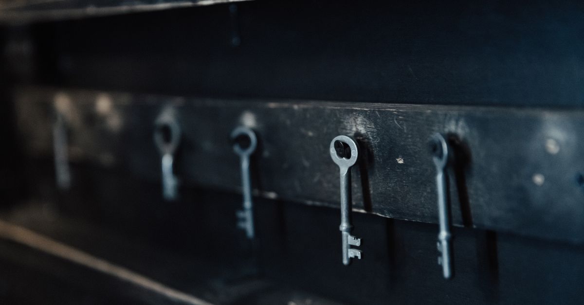 key maker professional — Douglaston Locksmith