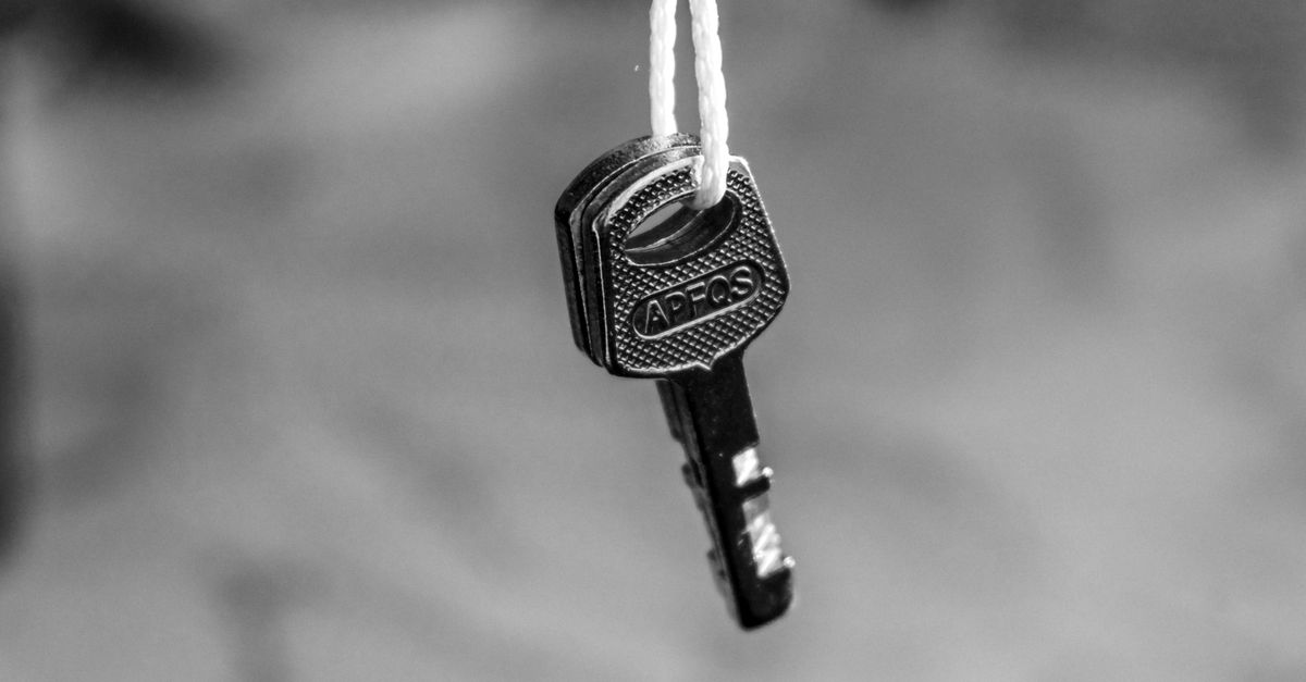 Door Lock Cylinders, Ignitions, and the Role of Lock Type in a Successful Extraction — Douglaston Locksmith